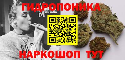 мяу мяу мука Шелехов