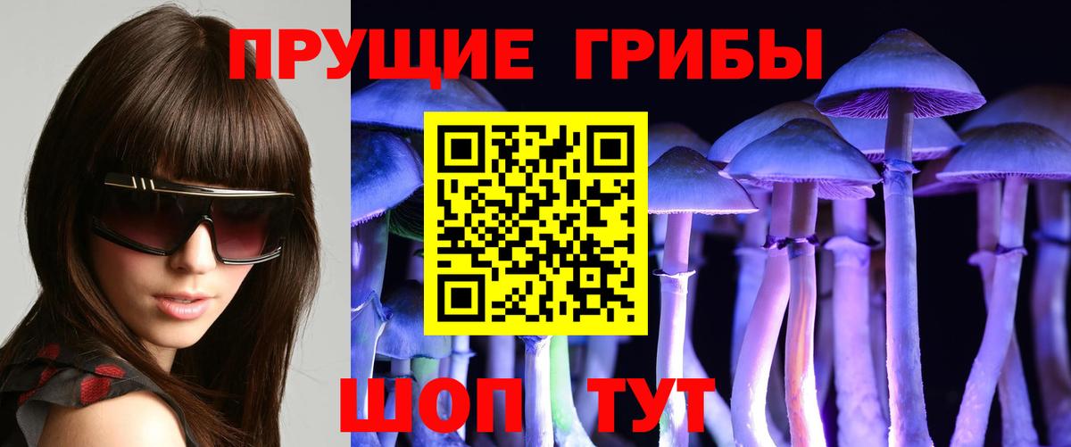 Балашиха  Галлюциногенные грибы ЛСД  Вход с VPN 